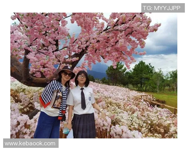 探索哈德森的魅力与历史：一段关于自然与人文的旅程